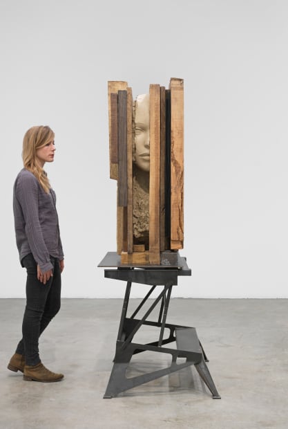 Dry Head on Wooden Floor, 2015