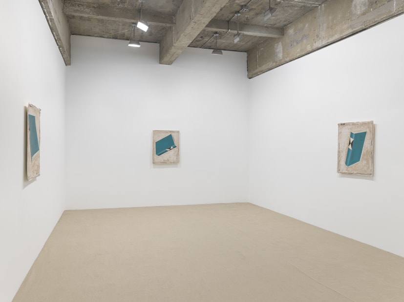 Small Room with Three Dead Birds and Falling Dictionary, 2017-2019