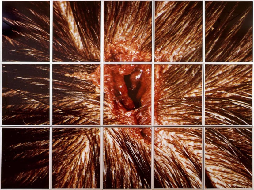 Bullet Hole, 1988 / 1993