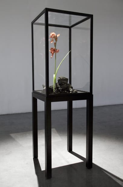 The Venal Muse. Evergreen., 2012