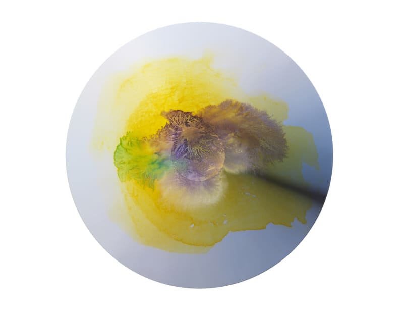 Colour experiment no. 106, 2020
