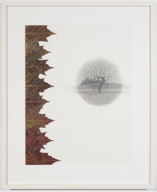 Chromosome, 2013