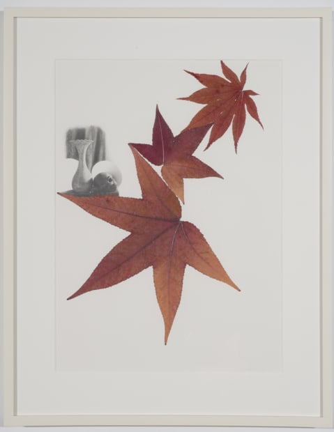 Memento Mori, 2014