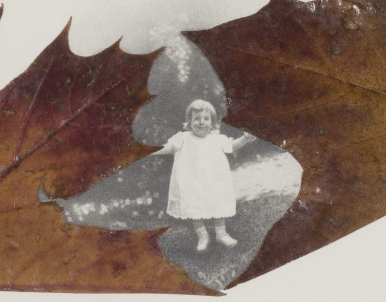 Untitled 2 [detail], 2013