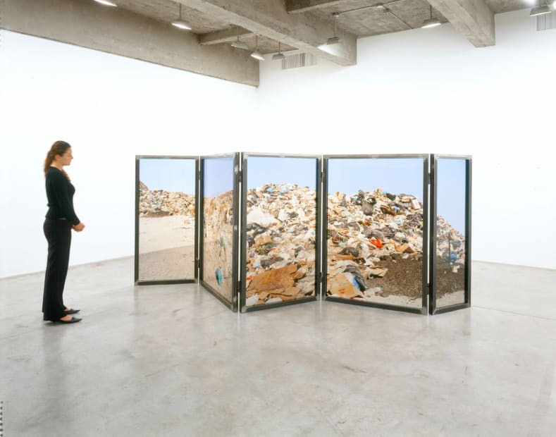 Landscape, 2006