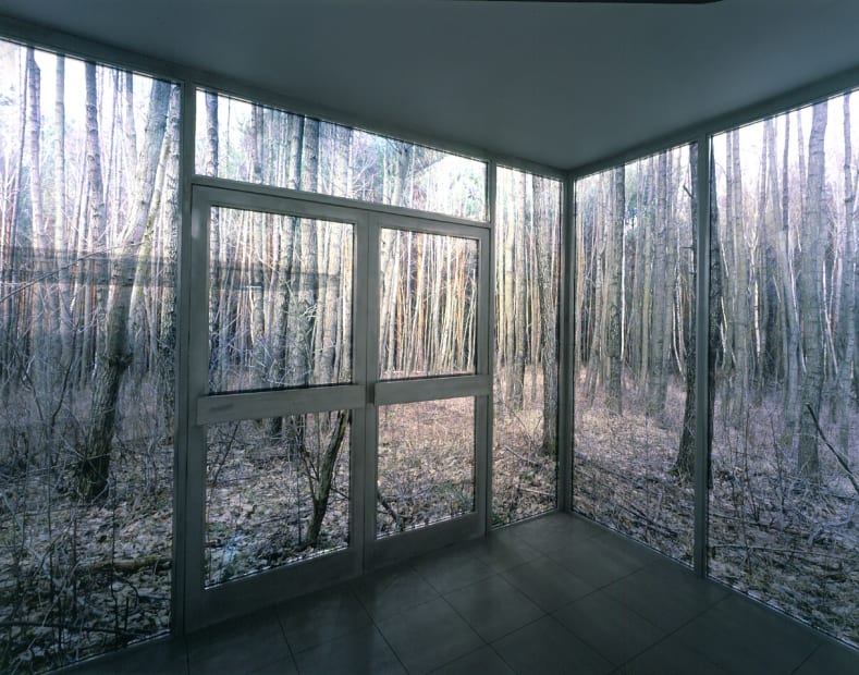 Large Cube in Forest, 2004