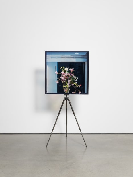 Tripod, 2016