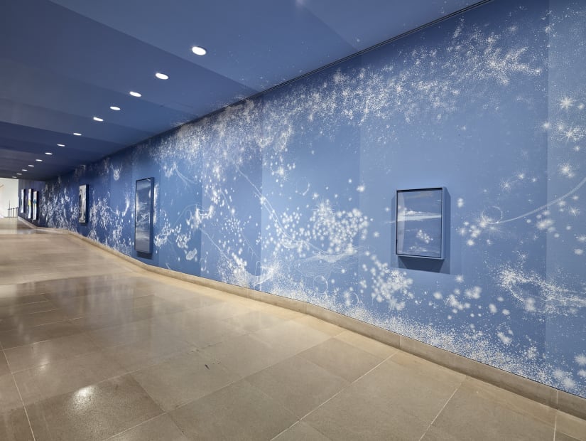 Installation view, Sandra Cinto: Landscape of a Lifetime, Dallas Museum of Art, 2019
