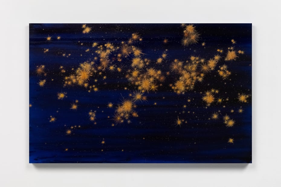 Night with Stars IV, 2024