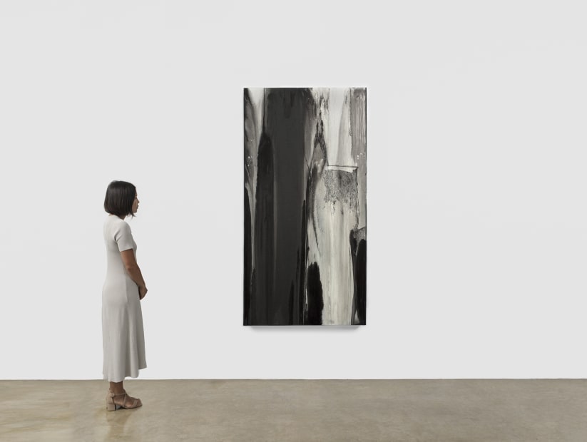 Untitled (from the series By Chance and Necessity - Nocturno), 2017