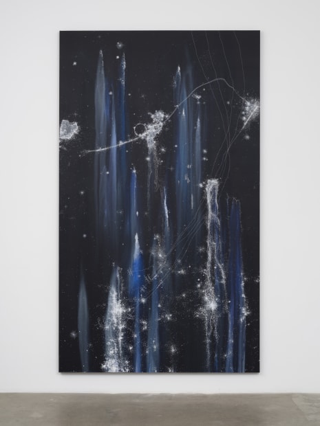 Untitled (From the series Cosmic Garden/Nocturnal), 2021