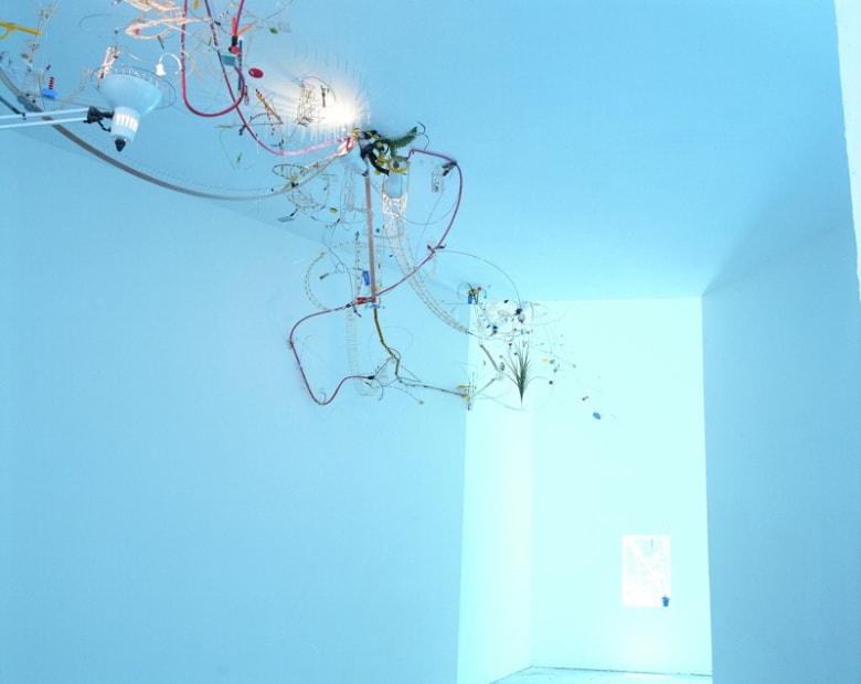 Capricious Invention of Prisons, 1999