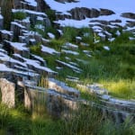 Image of Fallen Sky