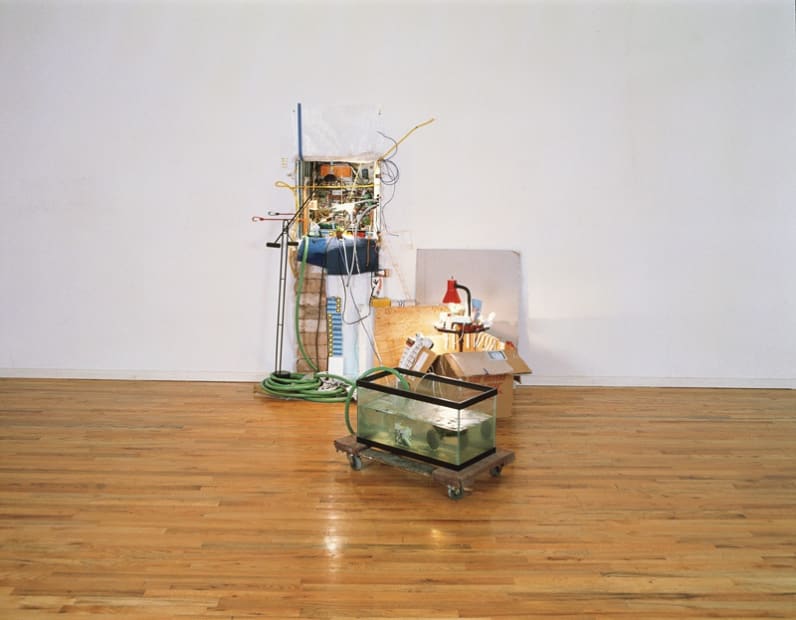 Ripe Fruit Falling (South), 1997