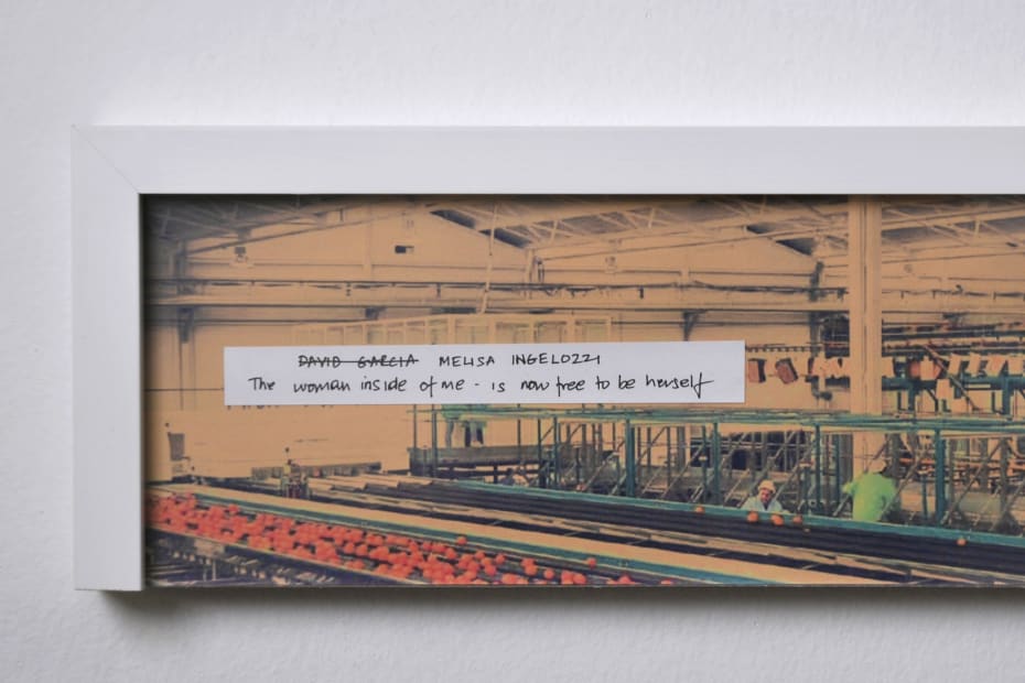 Altered Inheritances—100 (Last Name) Stories [detail], 2012-2014