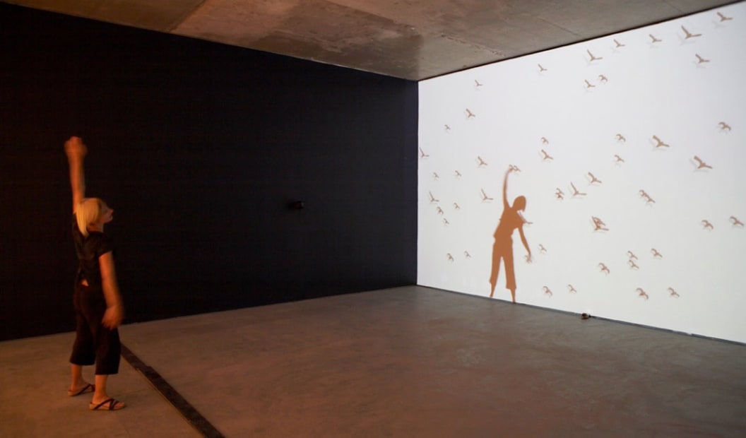 Untitled (Shadow 2), 2006