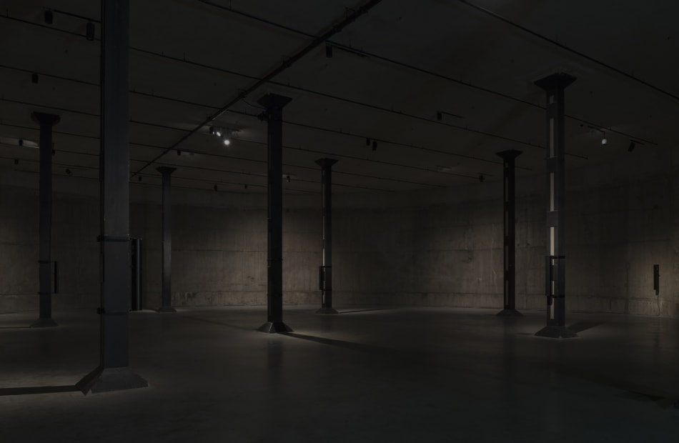 I See a Darkness, 2008