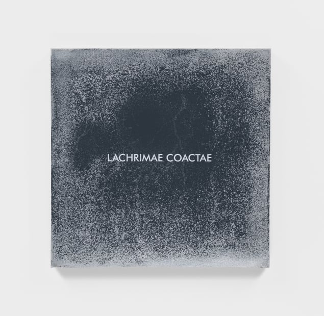 Lachrimae Antiquae IV, 2017