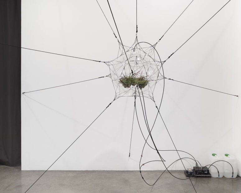 Biosphere 06, 2009