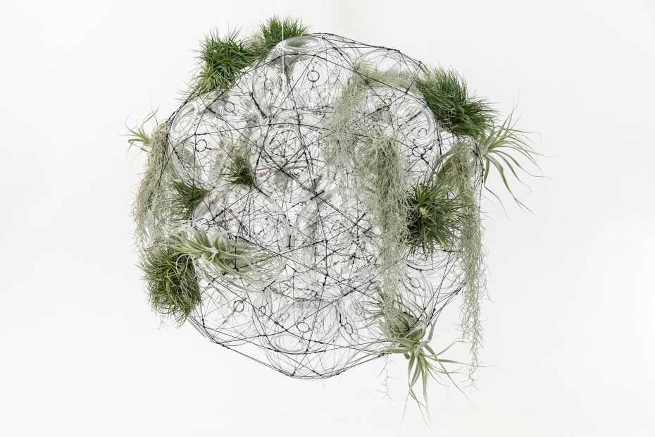 Pneuma 420, 2018