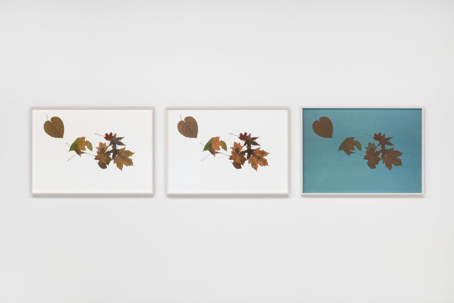 Silent Autumn 23042021 (triptych)..., 2021-2022