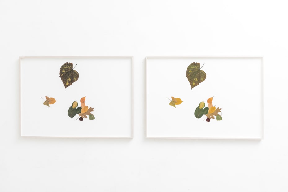 Silent Autumn 24042021... (Triptych) TBC, 2021-2022