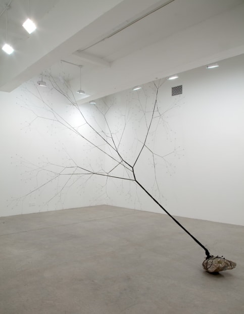 Space Elevator/Spark 460, 2010