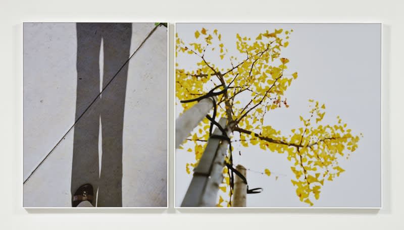 ... to walk without destination and to see only to see. (Untitled 10.2), 2010