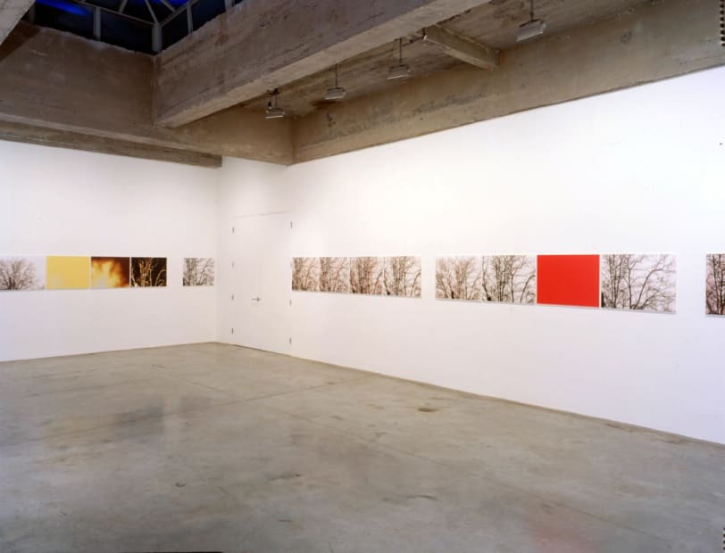 Installation view Tanya Bonakdar Gallery, 2002