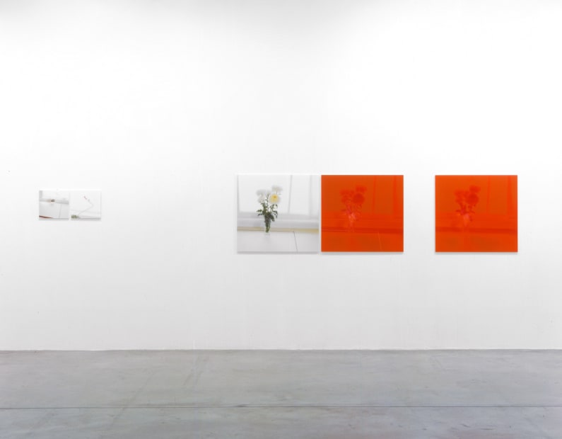 Installation view Tanya Bonakdar Gallery, 2005