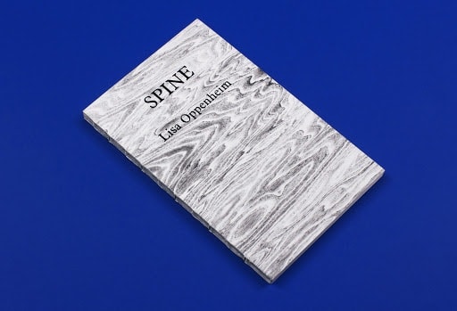Image of book cover